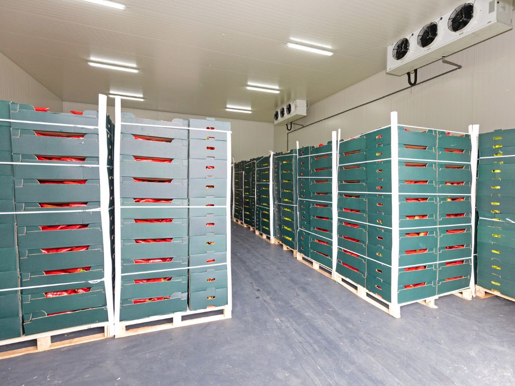 Anti Slip Flooring in Cold Storage and Chiller Units