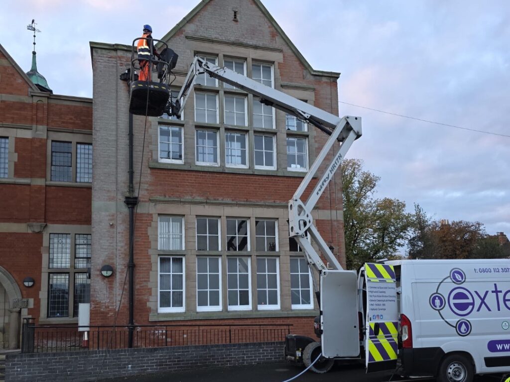 Winter Damage Control